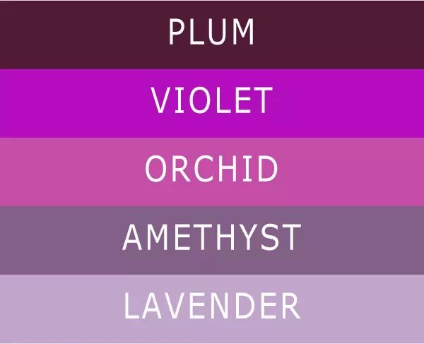 紫色作为红色和蓝色的混合体,既不暖也不冷,却兼具红色调的"热情"和
