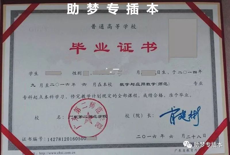 什么是广东省专插本考试?