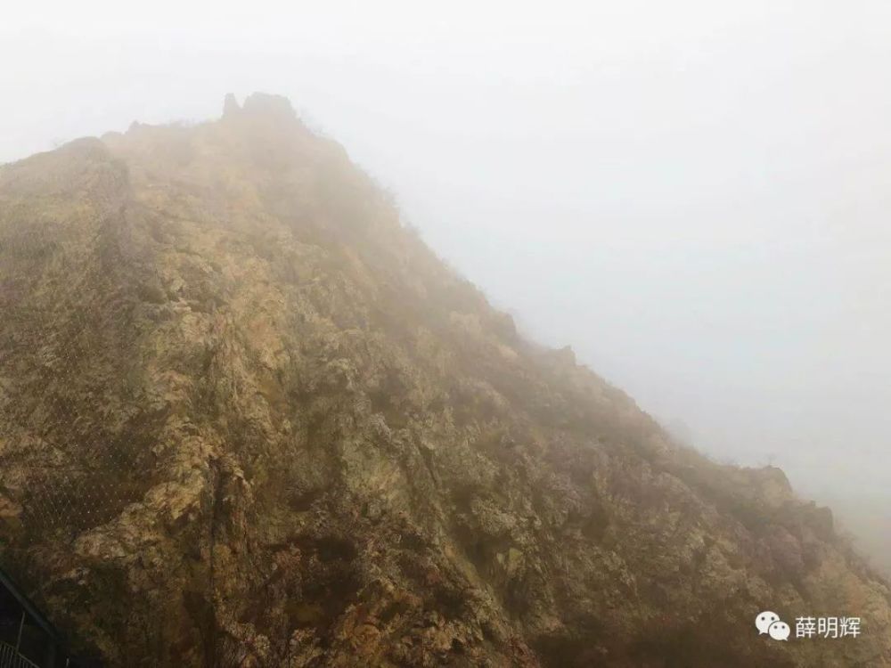 面对虚假的微信群发拜年,我选择了沉默。不打