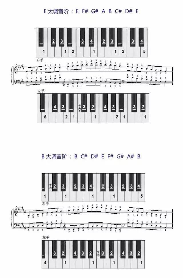 左手以及其他各调的音阶指法,按照确定音阶指法的基本原则自己可以