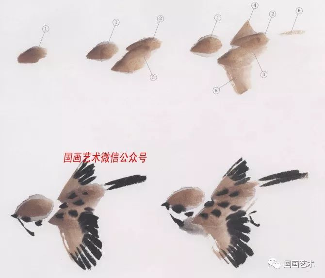 图文教程:中国画技法之写意麻雀