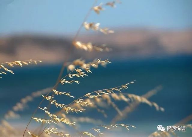 左拾遗:烫烫的,像近义词的嘴唇