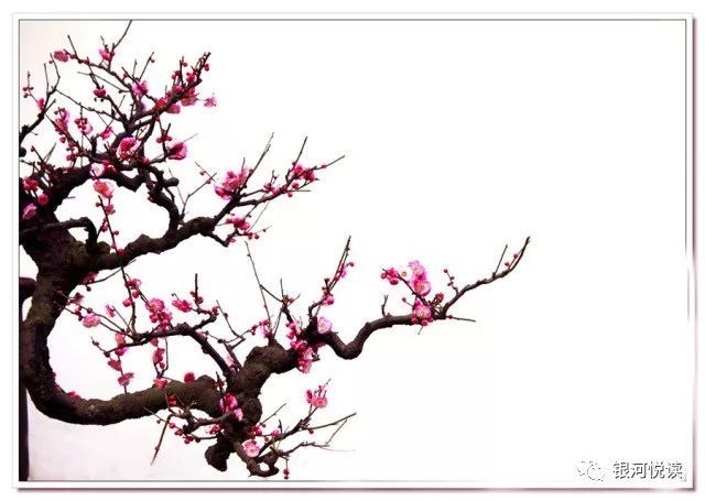 左拾遗:烫烫的,像近义词的嘴唇