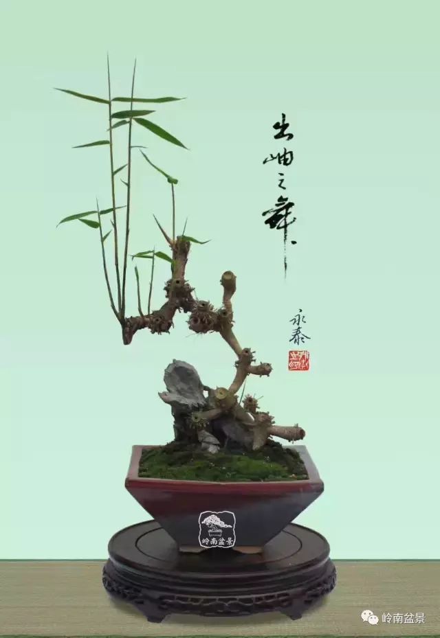 竹石盆景(郑永泰大师新作)