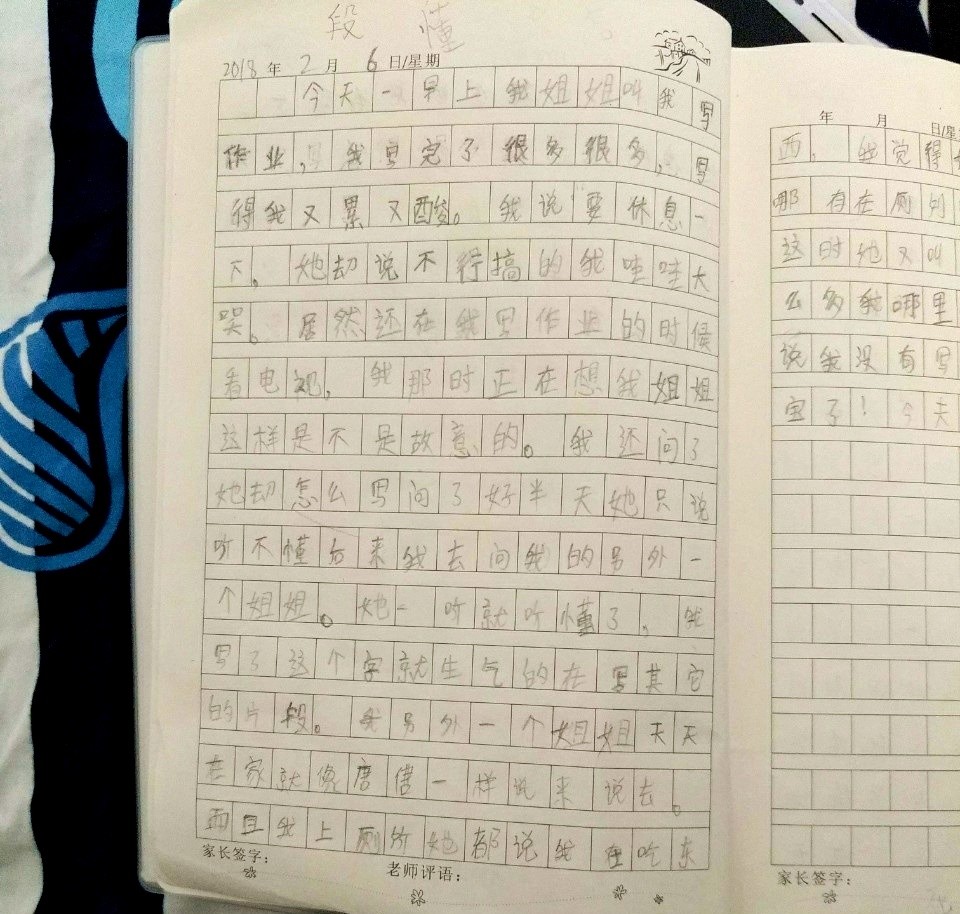 湖北武汉一名三年级小男孩写的日记,看得出他对自己的姐姐有着深深的