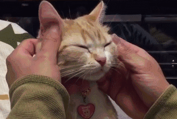 想念父母的时候,打个电话回去;多结交几个朋友,多参加集体活动,不要