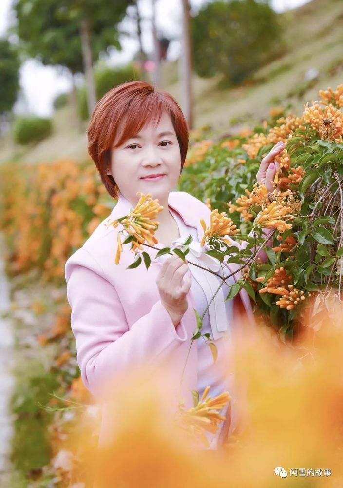 爆竹一声除旧岁‖炮仗花