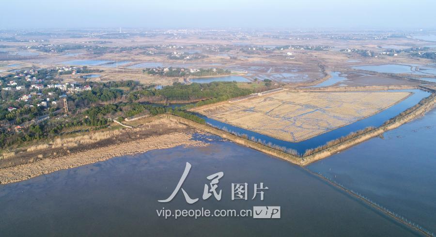 2018年2月22日,候鸟在庐江县黄陂湖湿地的碧水蓝天间自由翱翔,景