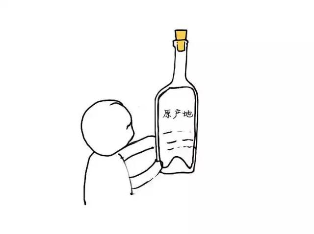 史上最易懂的葡萄酒扫盲贴,赶紧收藏起来