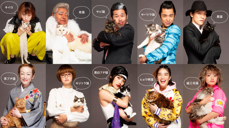 8只拟人猫登场！《拥抱猫咪》追加演员
