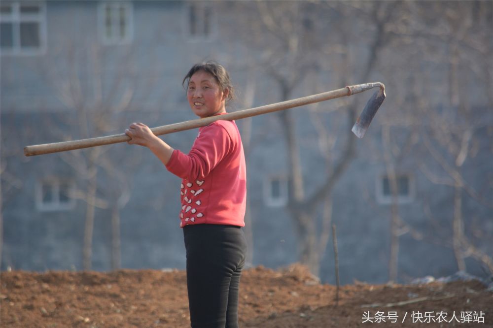 站在田间地头的农村女人,背着一把锄头,脸上挂着微笑!