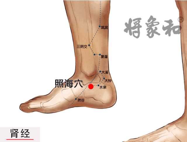"白天犯困,晚上失眠",用这2个穴位能够双向调治!