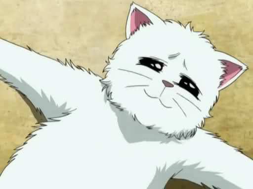 ʮΪʲôΪʲôëǱ磿