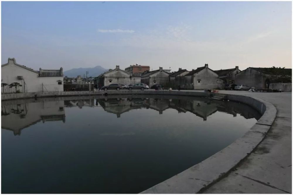 普宁平林抢地豆 看点快报