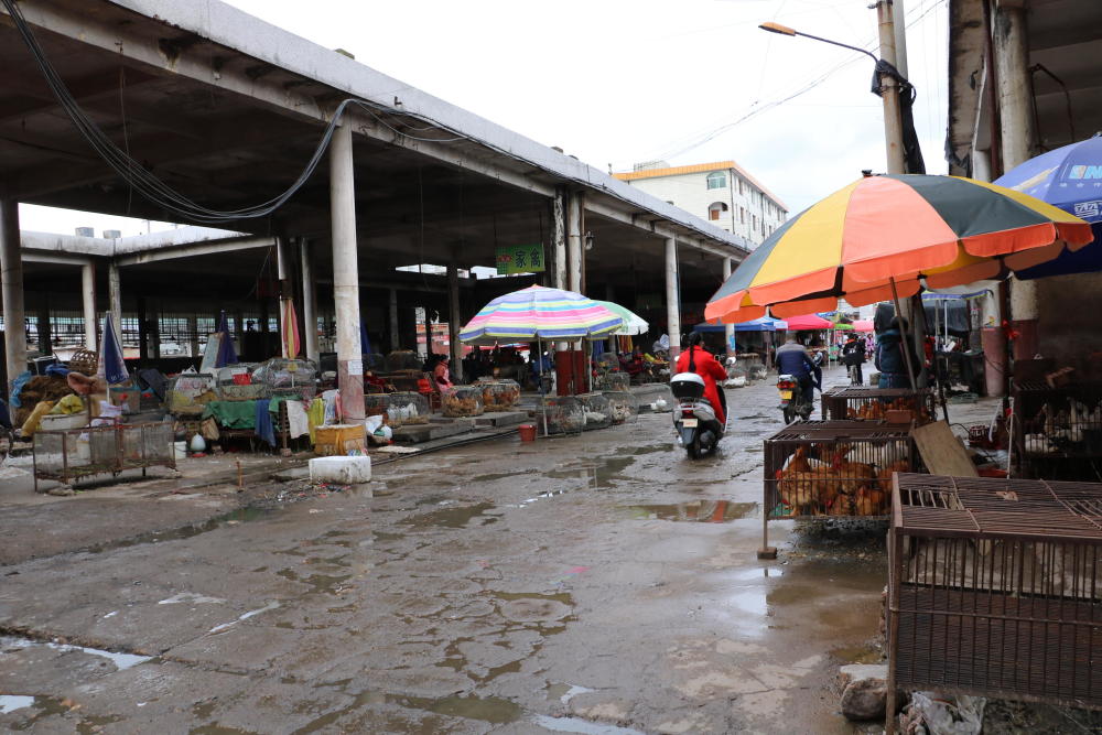 县城老菜市场,几十年的历史,如今凋敝衰败,摊贩