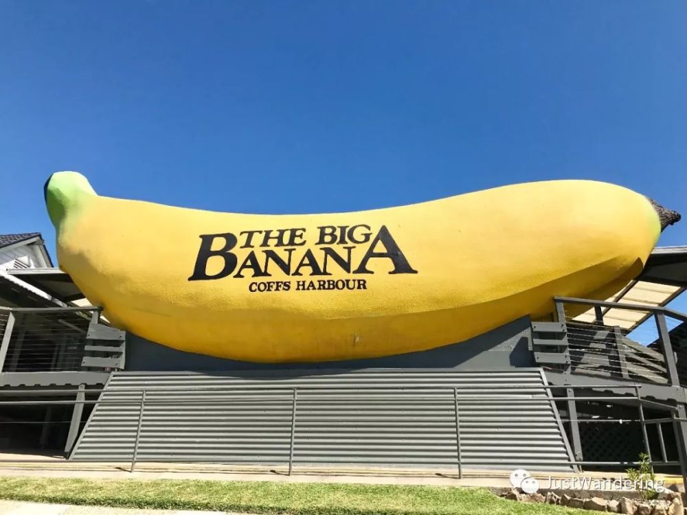 the big banana