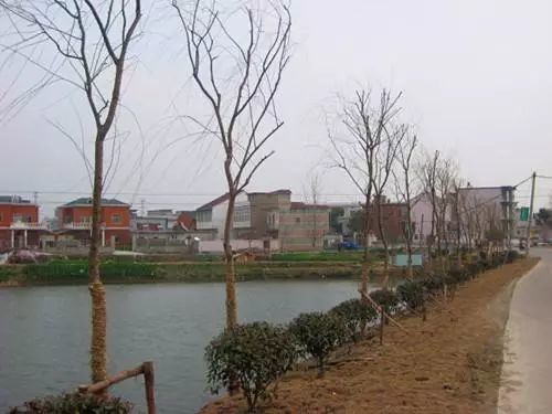 芜湖养老人口_芜湖大司马(3)