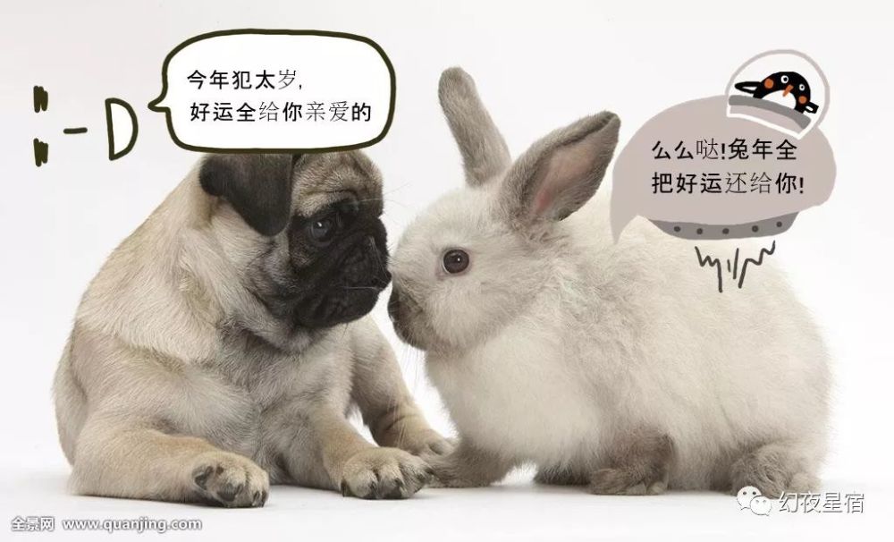 18狗年运气爆棚的星宿有你吗 看点快报