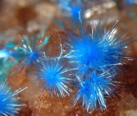 世界上最贵的石头，太惊艳了！