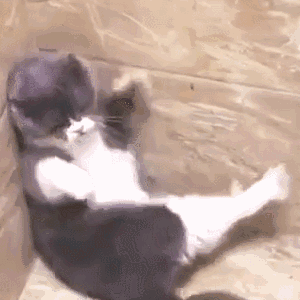 原创不易,转载请注明出处吧,就酱.