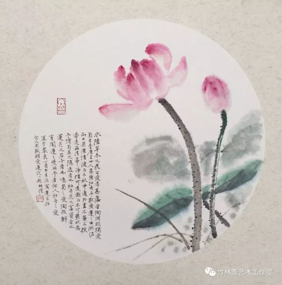 林恺老师荷花小品集