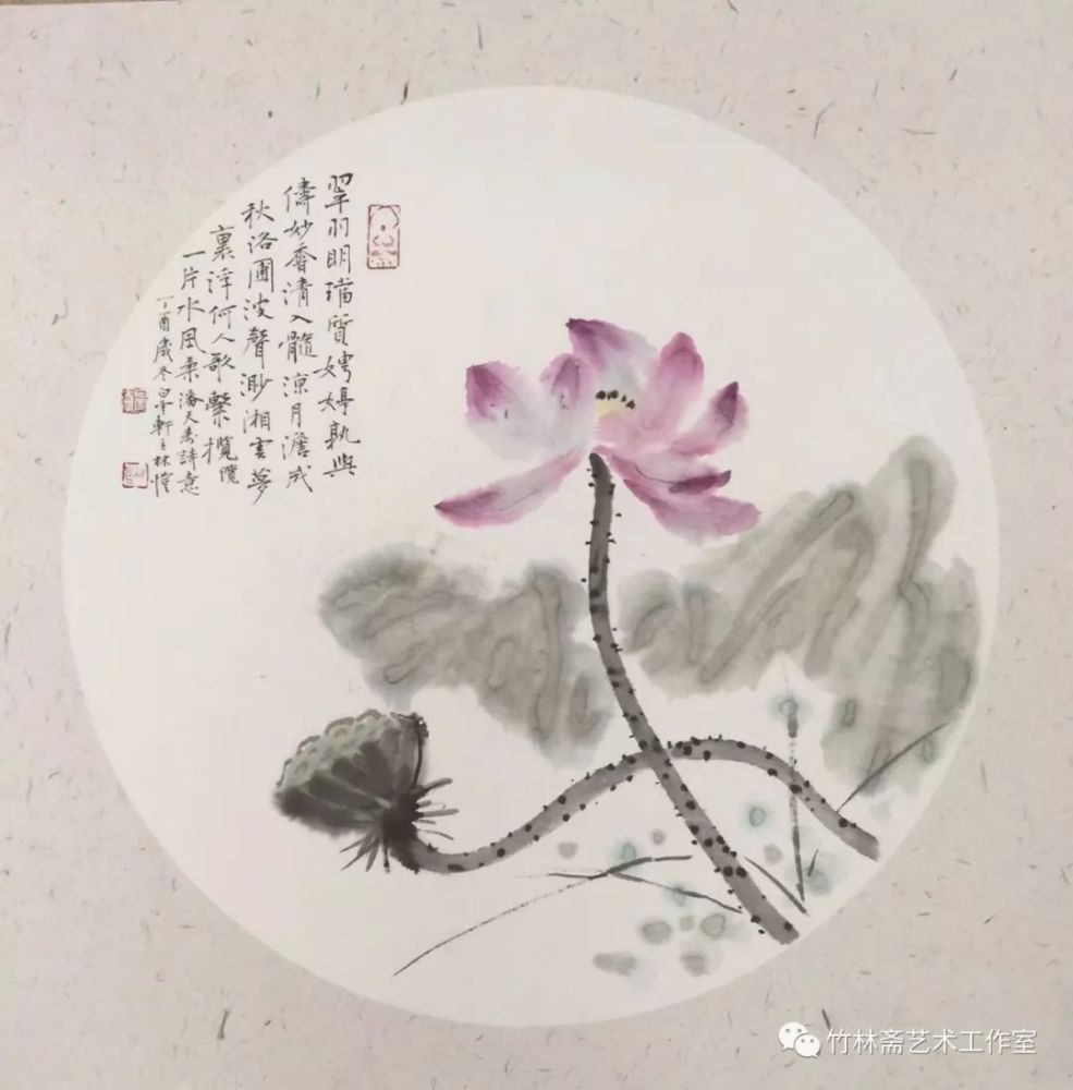 林恺老师荷花小品集