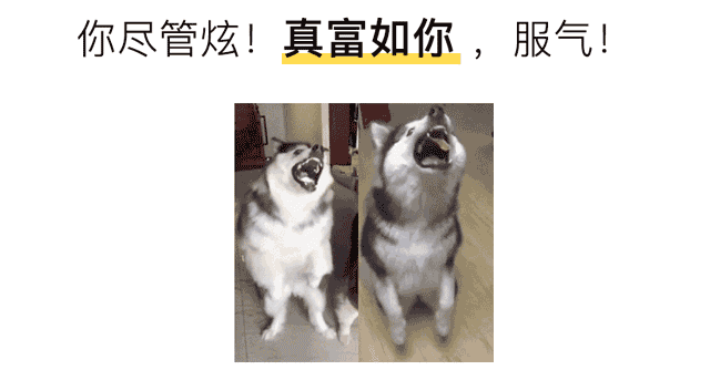 饥荒海难老奶奶,朝歌全集免费观看天天影院,环