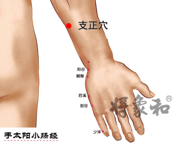 心经的少海穴主治 心脏疼痛,手臂麻,手颤(包括帕金森病的那种手颤)