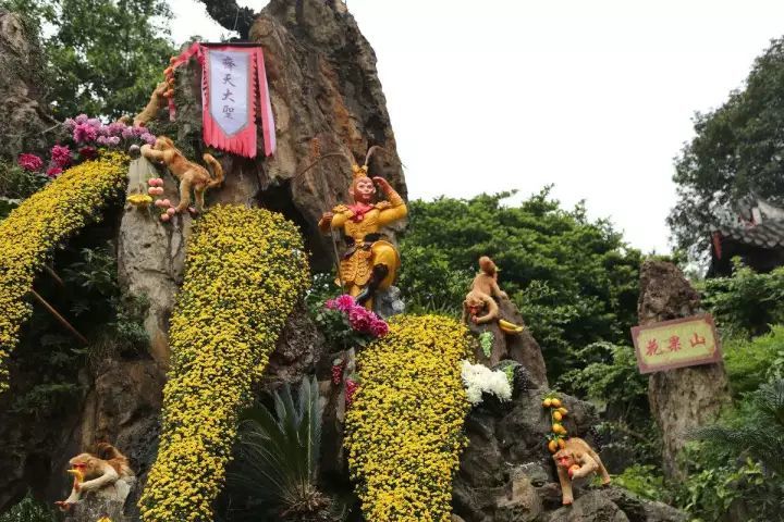 连云港花果山一日游,特惠128元/人;纯玩无购物店