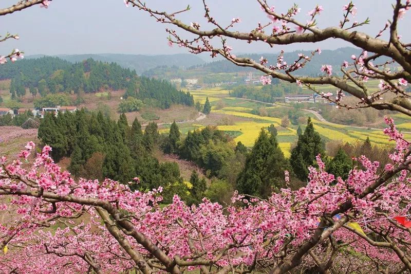 它是四川第一人口大县!却私藏着成都南边最美