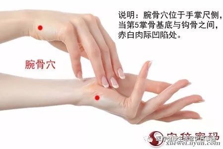 腕骨穴主治 头痛 项强 耳鸣 目翳 黄疸 消渴 热病 疟疾 指挛腕痛 腕骨的准确位置图 浩然生活网