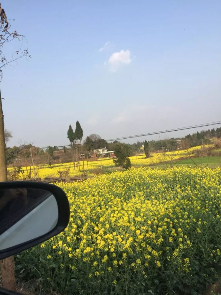 它是四川第一人口大县!却私藏着成都南边最美