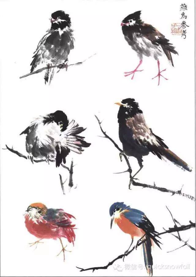 国画——燕子等飞禽的画法