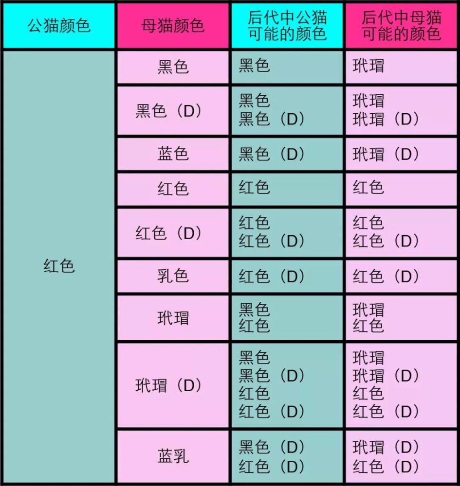 猫咪繁育配色表4:纯色公与纯色母或玳瑁