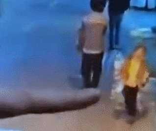 318_267 gif 动态图 动图