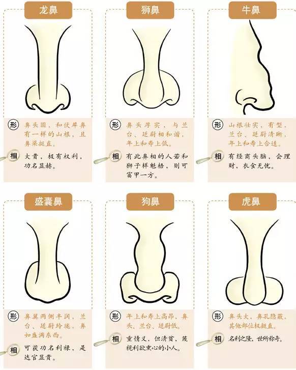 1,塌鼻梁