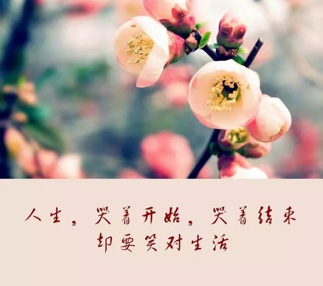 人生,哭着开始,哭着结束,却要笑对生活!
