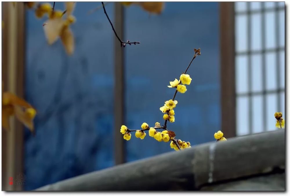 生命本是一场漂泊的漫长旅程