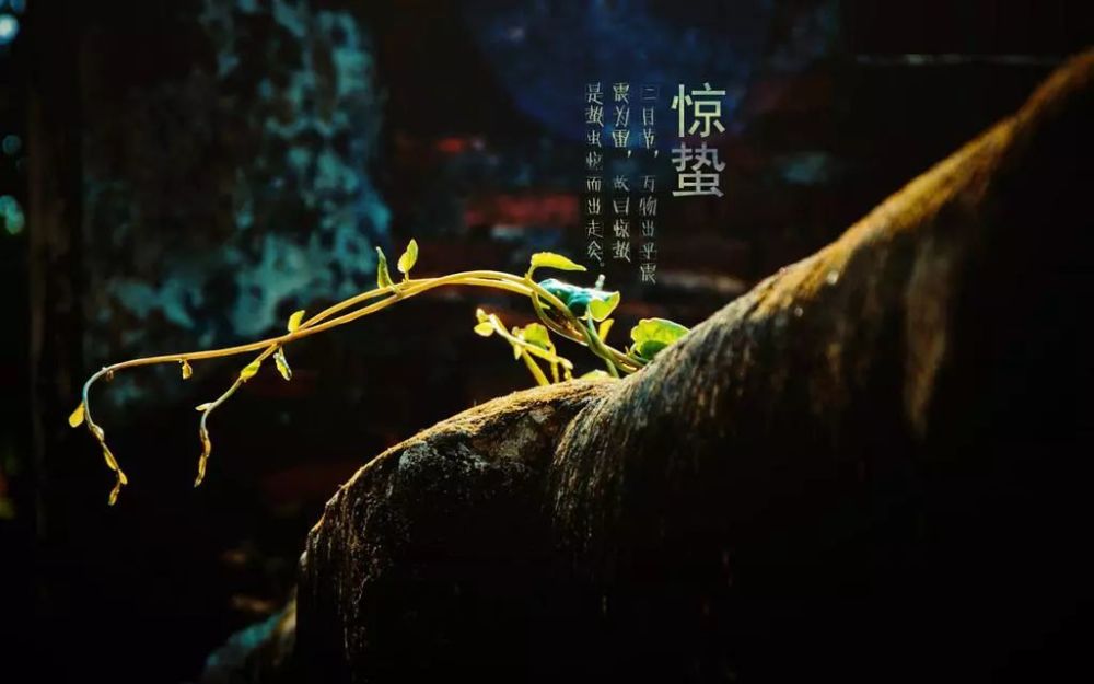 beautiful spring 气候特点:雨水渐多,乍寒乍暖 "春雷响,万物长",惊蛰