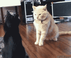 搞笑gif趣图:精疲力竭,你懂的!