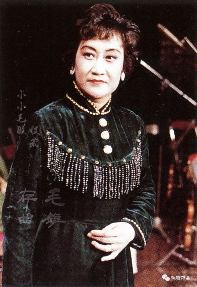 河北梆子《洪湖赤卫队》望长空寒星稀云遮月朗 张惠云