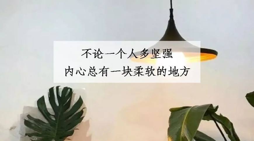 这次我真的累了,愿我们坦然面对,余生各自安好