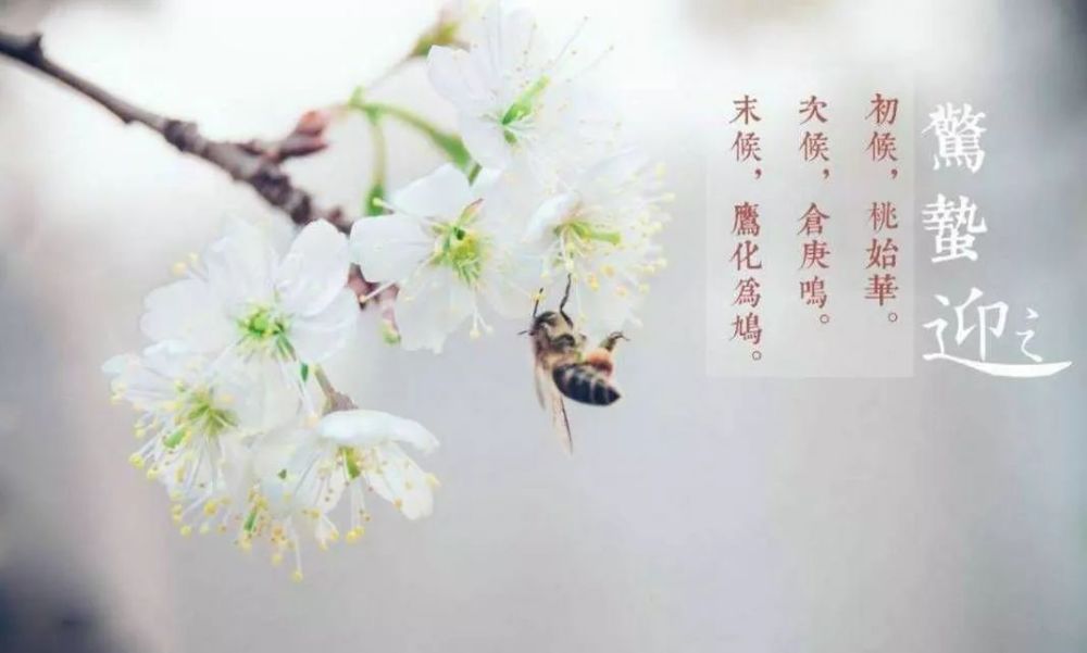 打小人口诀_打小人图片(2)