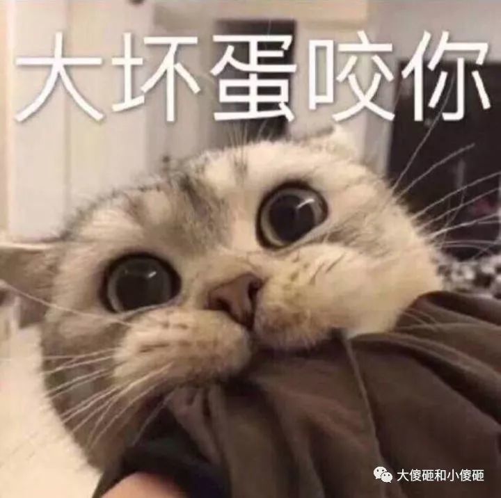 分享一波要红包的表情包