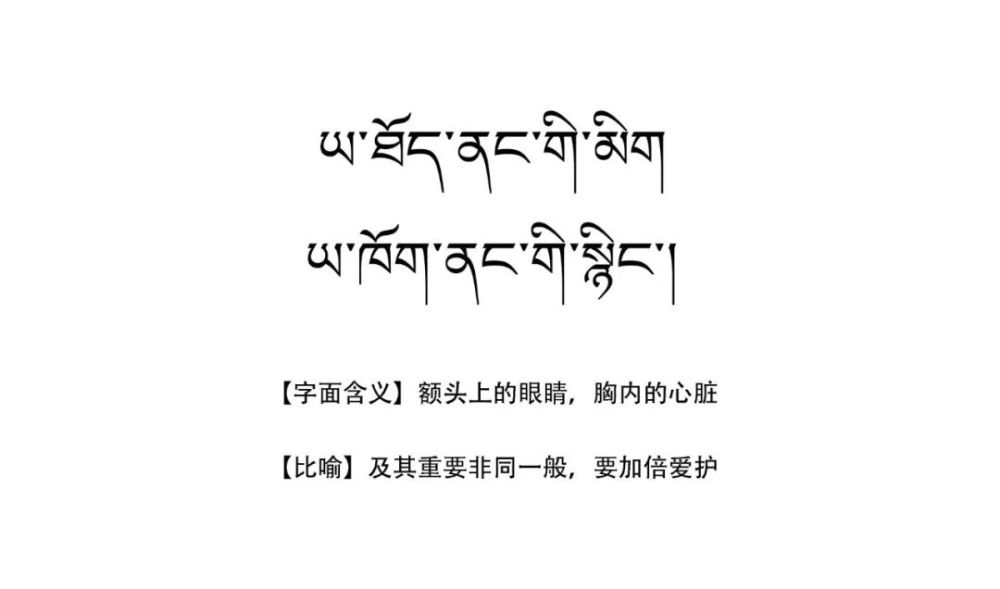 有声系列-藏文谚语和格言23