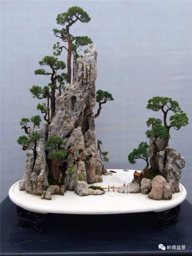 水旱盆景——最美的盆景艺术表现形式