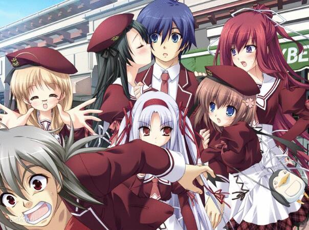 ʮΪʲôΪʲôϲװɵ