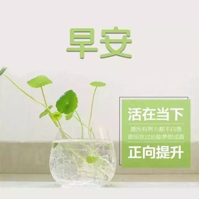 2018朋友圈励志早安语录 早安正能量励志句子
