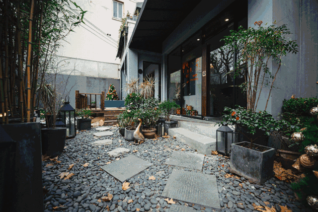 惬意慢生活!魔都茶馆推荐,体验冬天里的暖阳