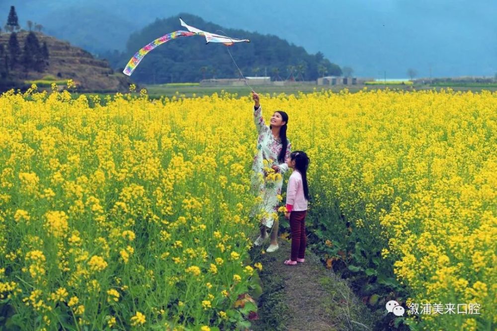 溆浦油菜花开了,去找寻春天的味道!